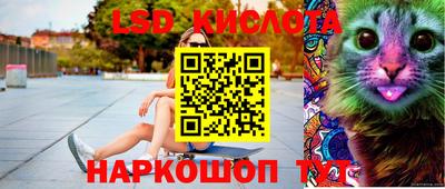 спиды Краснодар