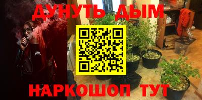 крисы Кунгур
