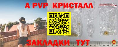 крисы Кунгур