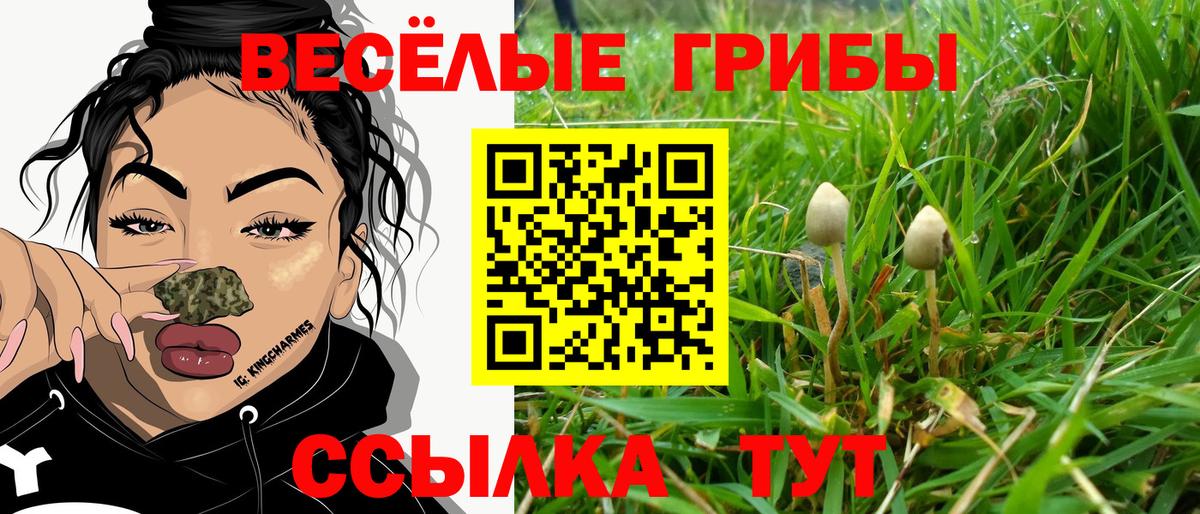 Галлюциногенные грибы GOLDEN TEACHER Кинель