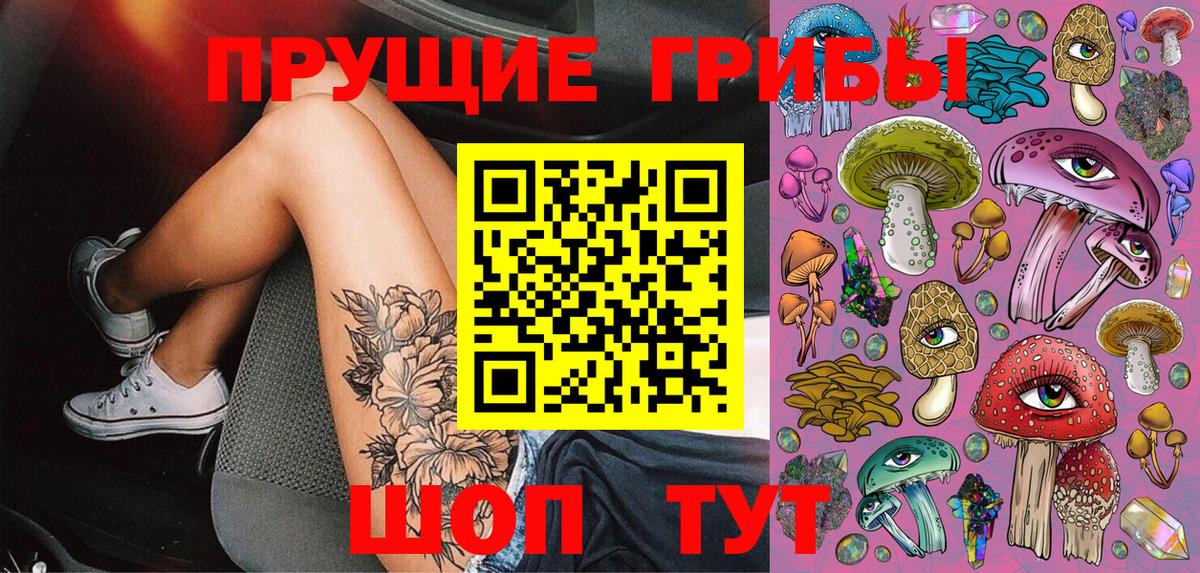 Псилоцибиновые грибы MAGIC MUSHROOMS  Вход с VPN  Псилоцибиновые грибы мицелий  Кинель 