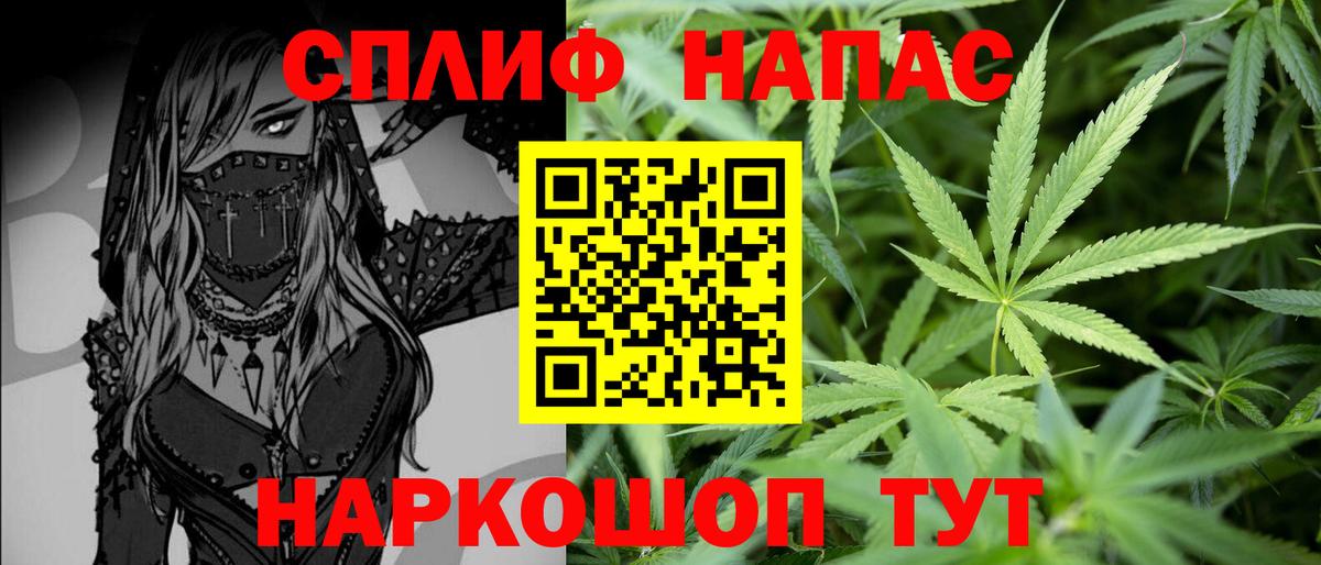 Канабис гибрид  Конопля MAZAR  Вход с VPN  Кинель  Бошки Шишки VHQ 